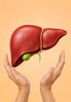 Liver
